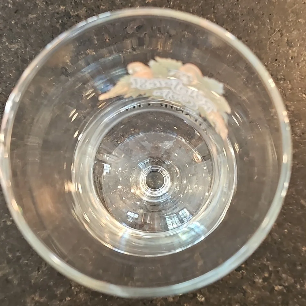 NWOT Rainforest Cafe Atlantic City Hurricane/Frozen Drink Glass
